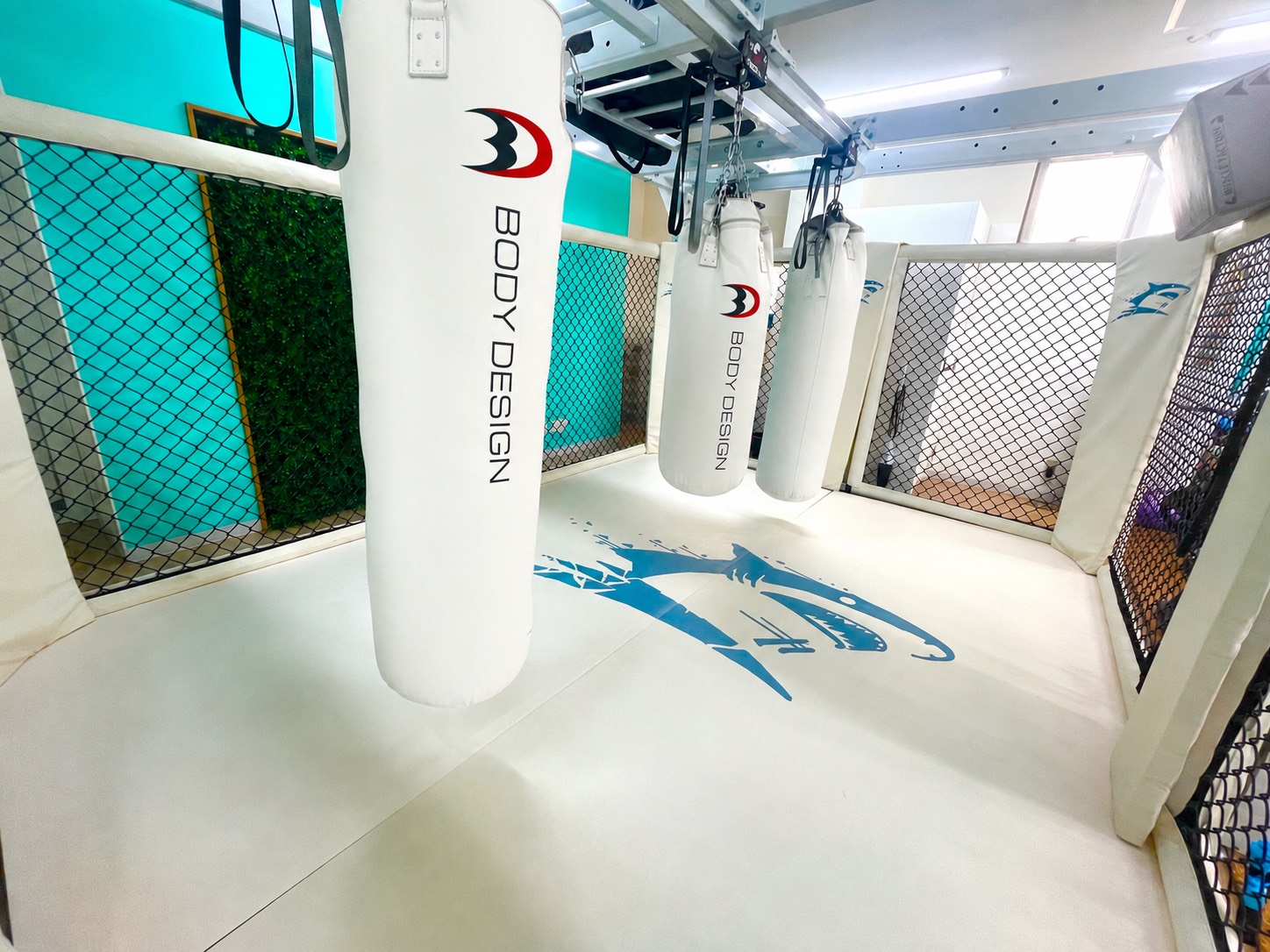 本格リングを常設したShark Style Gym本八幡のトレーニングスペース